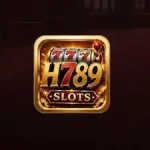 H789 Game logo