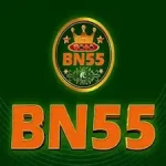 BN55 Game icon